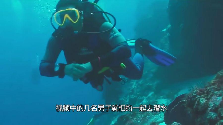 史莱克七怪