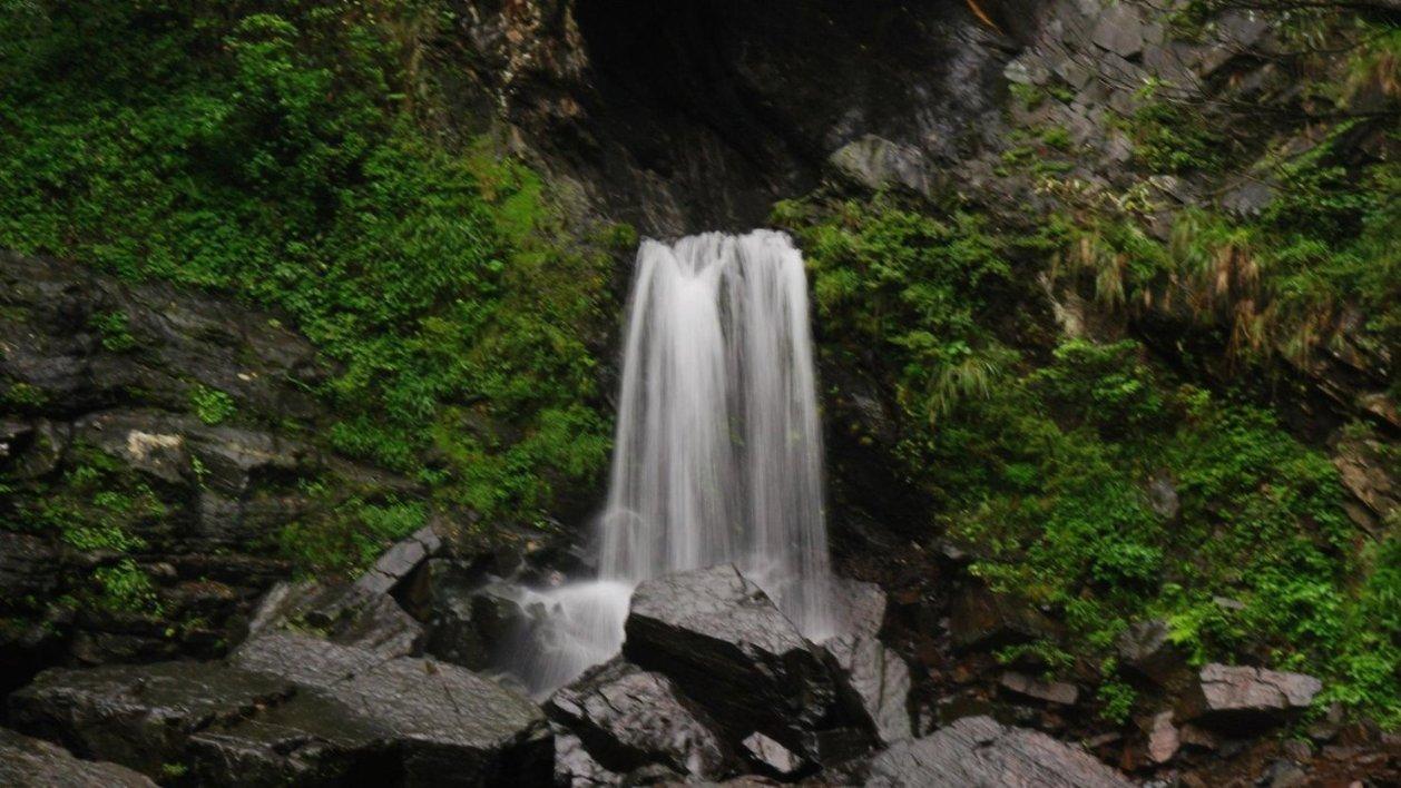 大山羔羊逃生