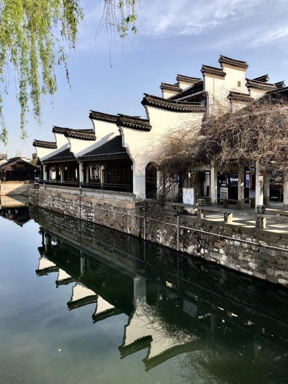 重生之玫瑰豪门